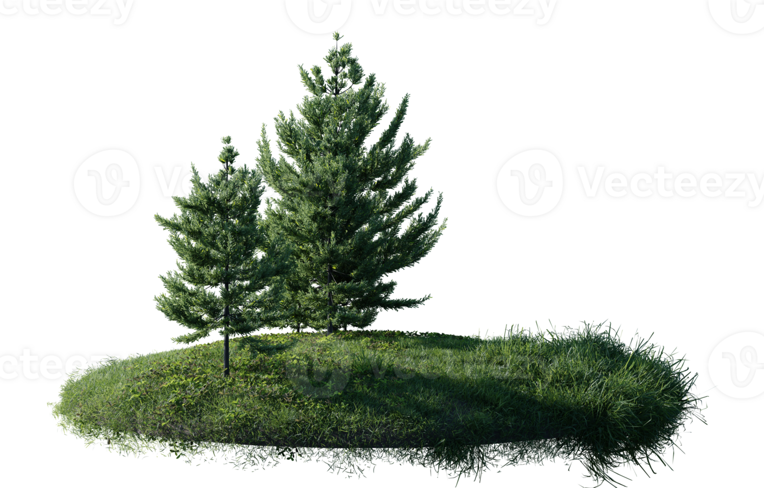 Round surface of Small Pine forest patch covered with flowers, green or dry grass isolated on transparent background. Realistic natural element for design. Bright 3d png