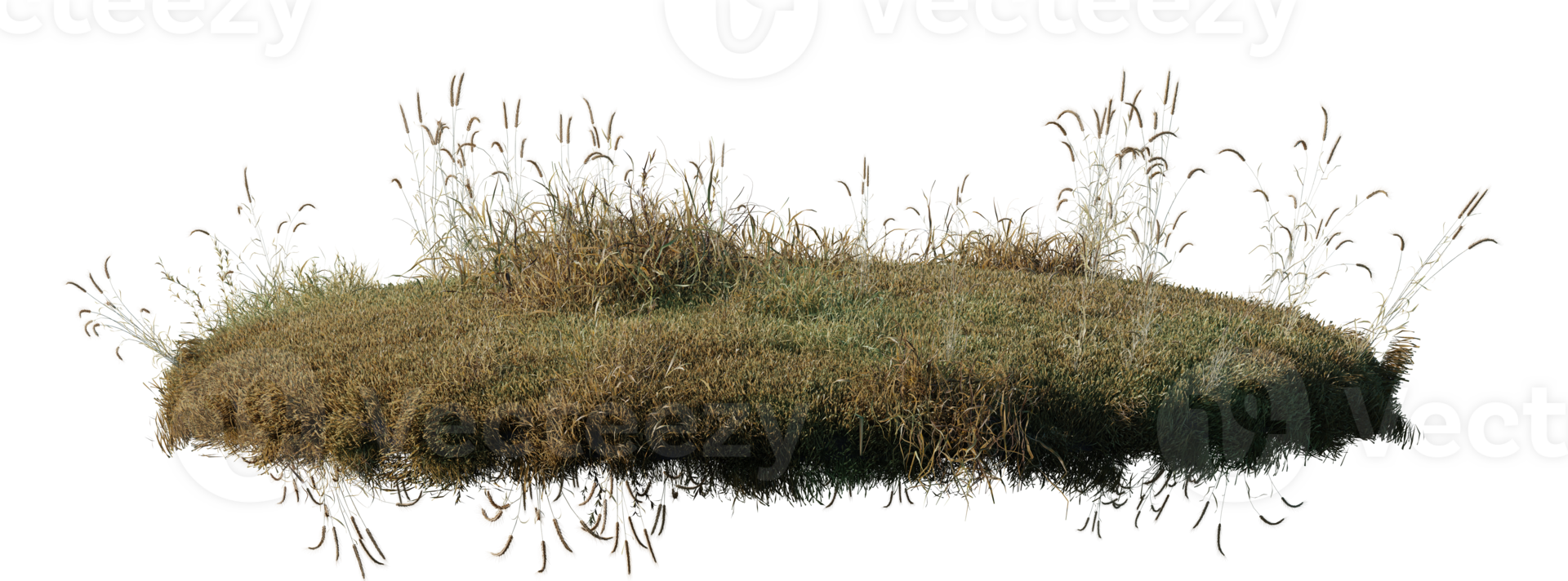 Round surface patch covered with flowers, green or dry grass isolated on white background. Realistic natural element for design. Bright 3d illustration. png