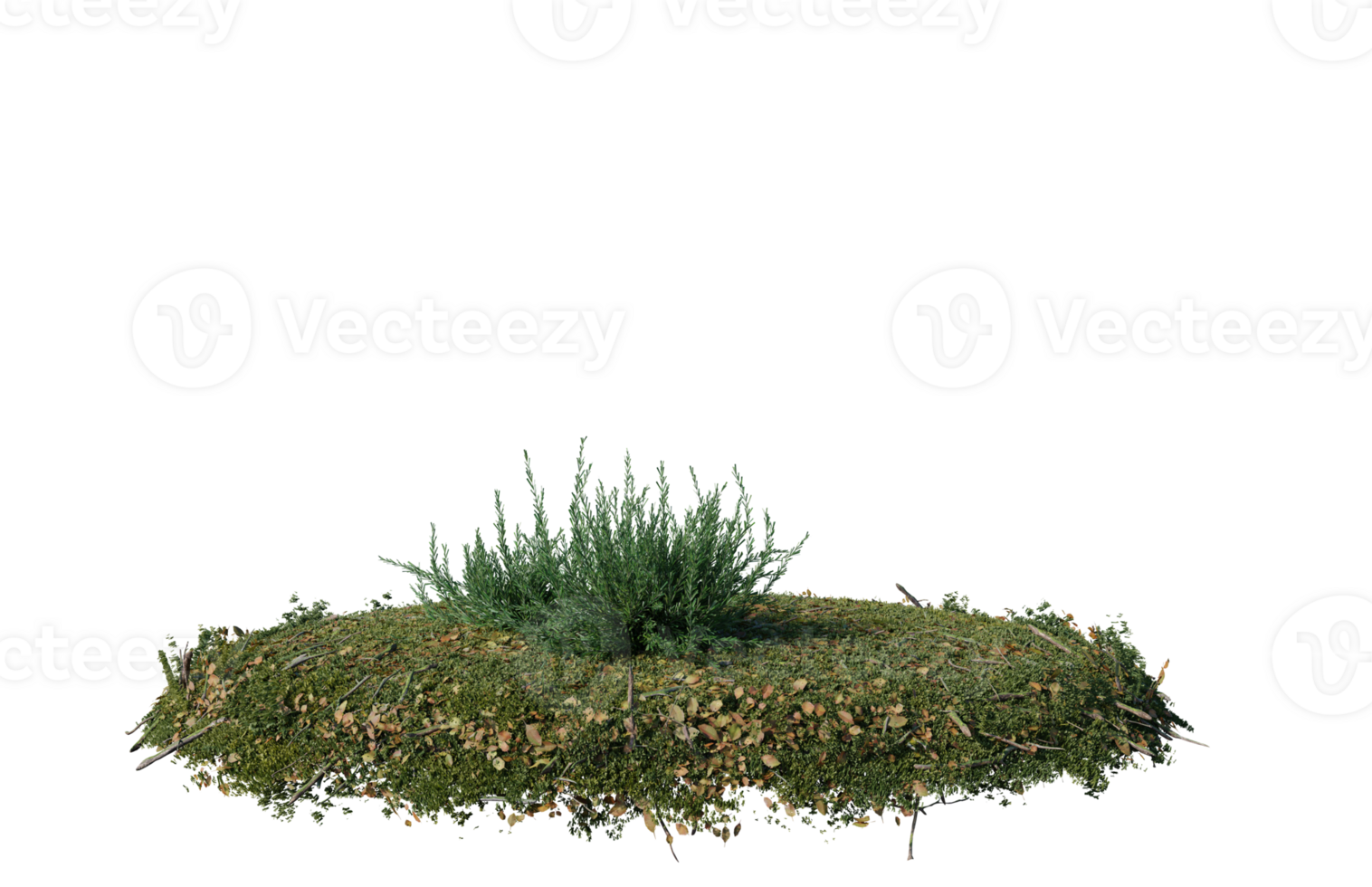 Round surface of Small Plant forest patch covered with flowers, green or dry grass isolated on transparent background. Realistic natural element for design. Bright 3d png