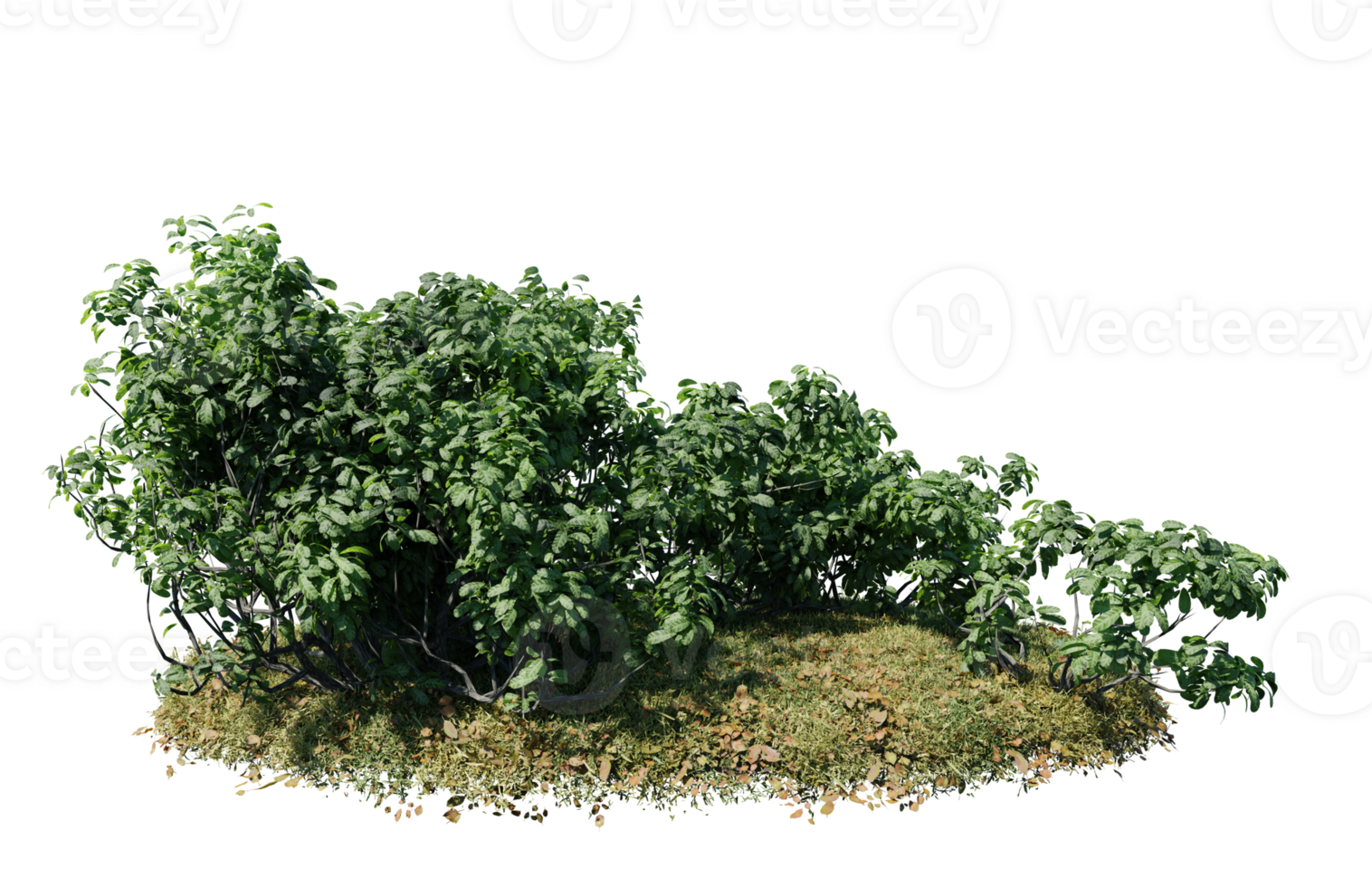 Round surface of Small Plant forest patch covered with flowers, green or dry grass isolated on transparent background. Realistic natural element for design. Bright 3d png