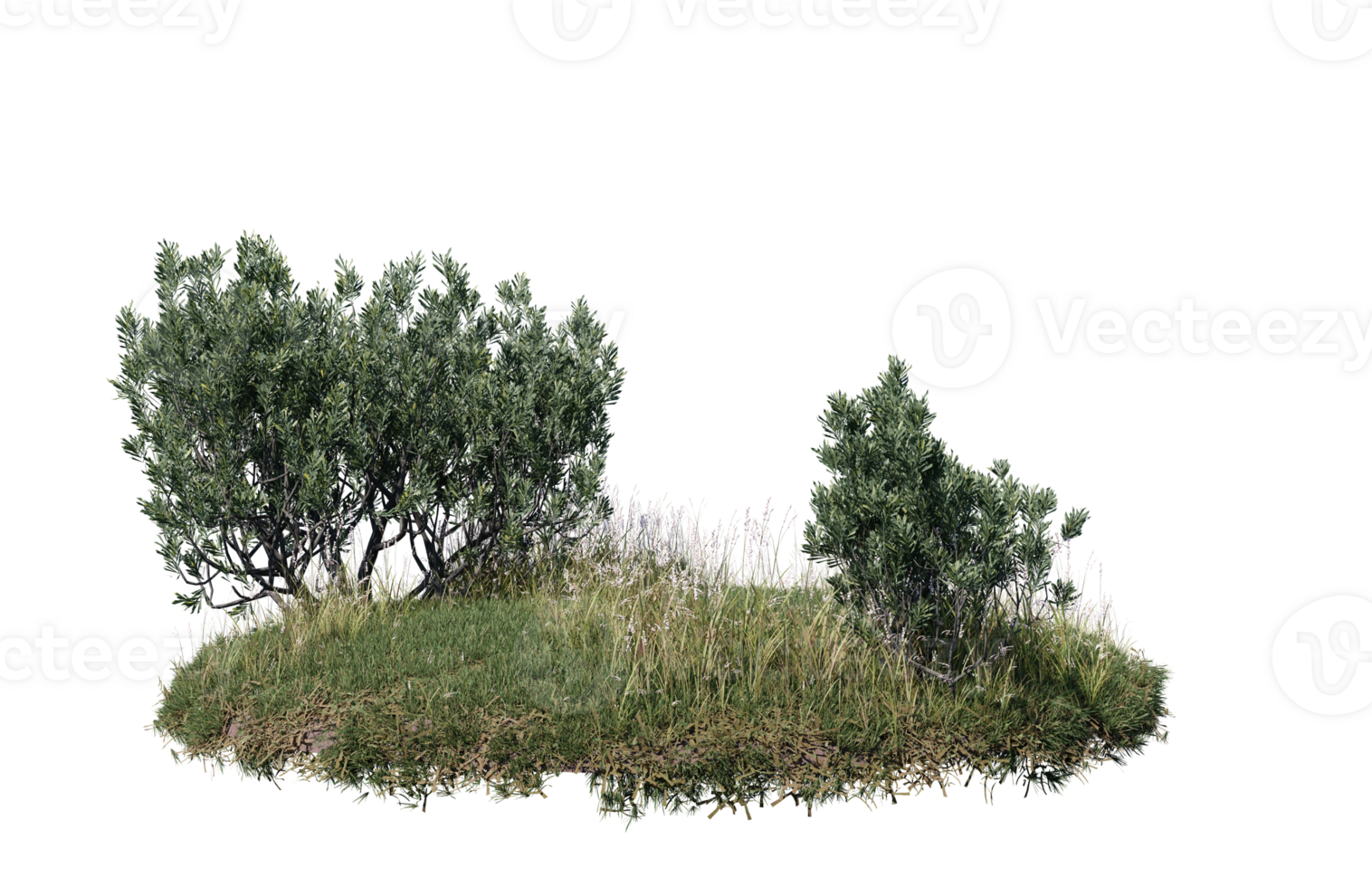 Round surface of Small Plant forest patch covered with flowers, green or dry grass isolated on transparent background. Realistic natural element for design. Bright 3d png