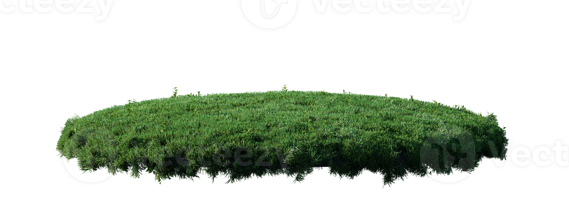 Round surface patch covered with flowers, green or dry grass isolated on white background. Realistic natural element for design. Bright 3d illustration. png