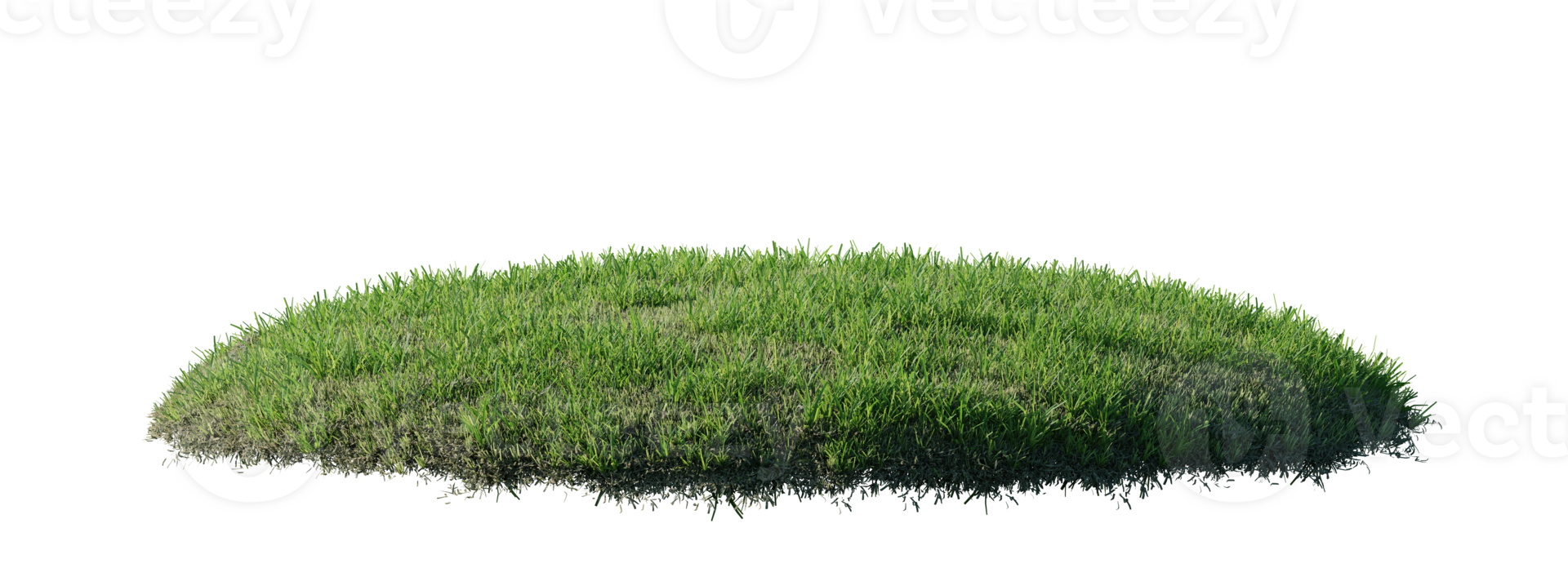 Round surface patch covered with flowers, green or dry grass isolated on white background. Realistic natural element for design. Bright 3d illustration. png