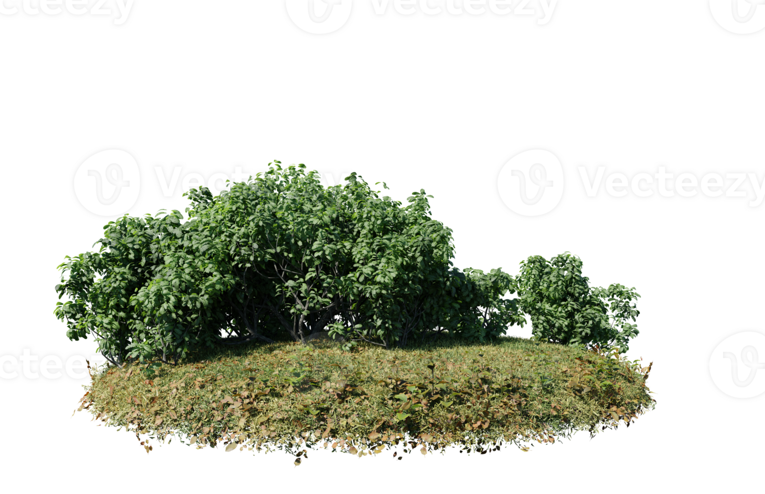 Round surface of Small Plant forest patch covered with flowers, green or dry grass isolated on transparent background. Realistic natural element for design. Bright 3d png