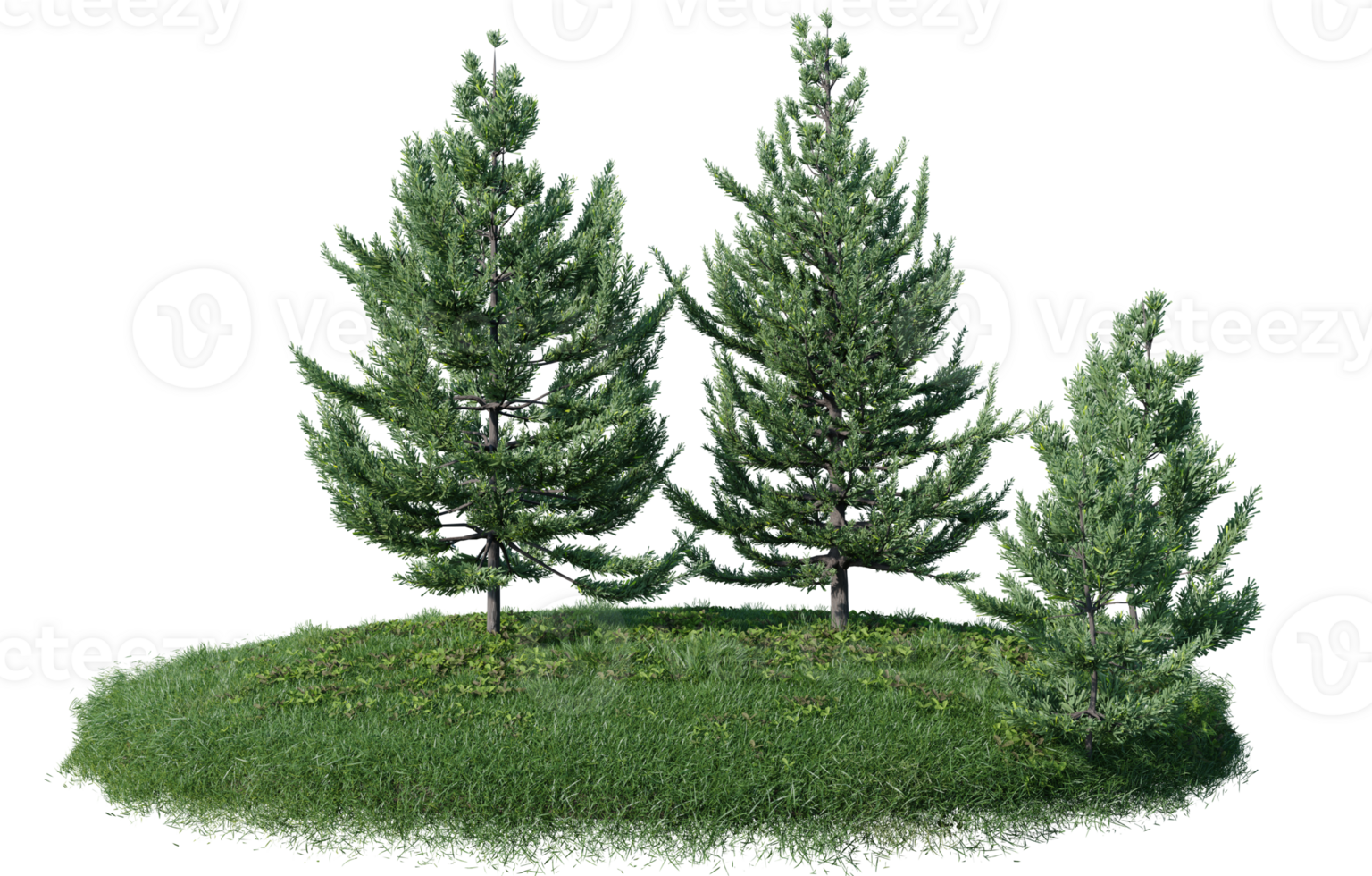 Round surface of Small Plant forest patch covered with flowers, green or dry grass isolated on transparent background. Realistic natural element for design. Bright 3d png