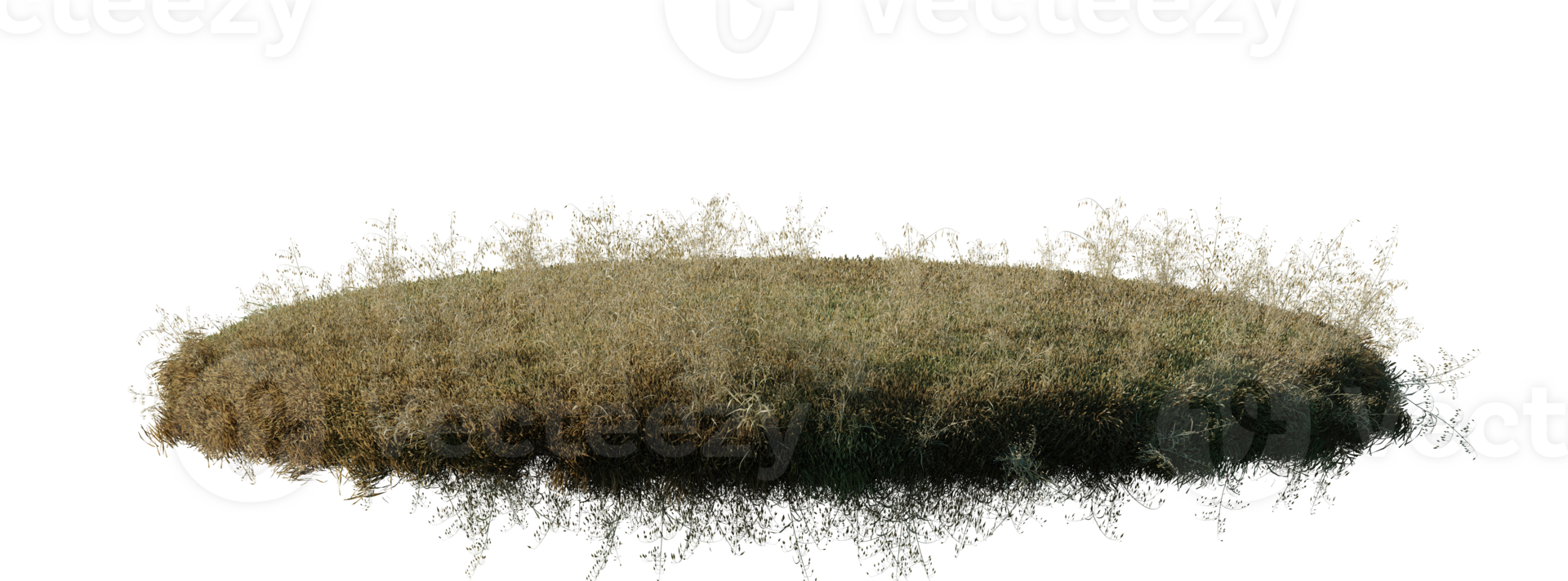 Round surface patch covered with flowers, green or dry grass isolated on white background. Realistic natural element for design. Bright 3d illustration. png