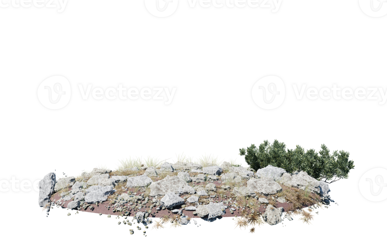 Round surface of Small Plant forest patch covered with flowers, green or dry grass isolated on transparent background. Realistic natural element for design. Bright 3d png