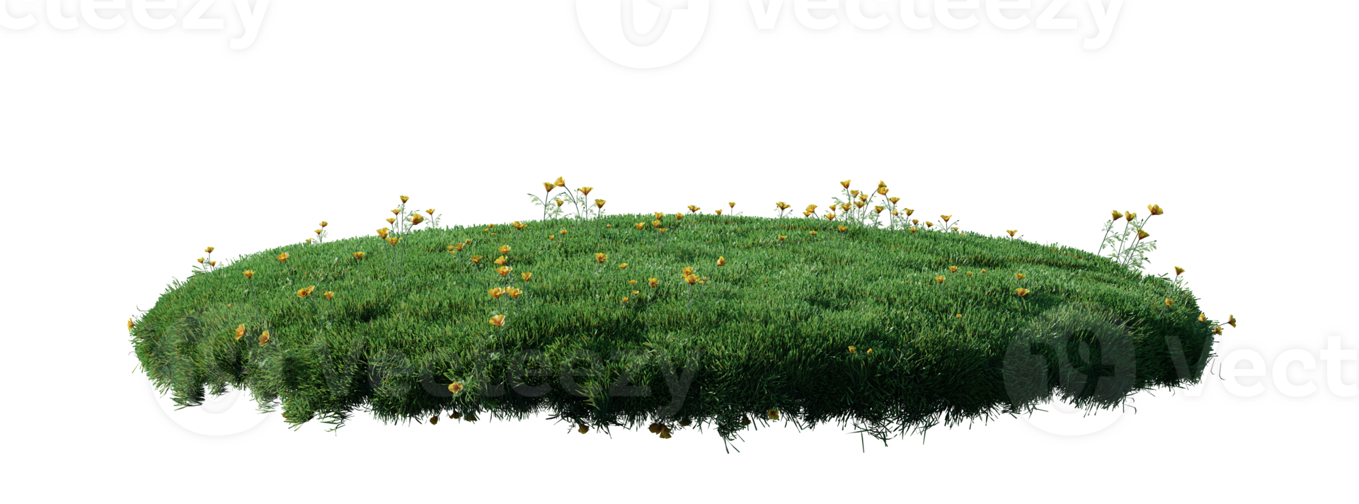 Round surface patch covered with flowers, green or dry grass isolated on white background. Realistic natural element for design. Bright 3d illustration. png