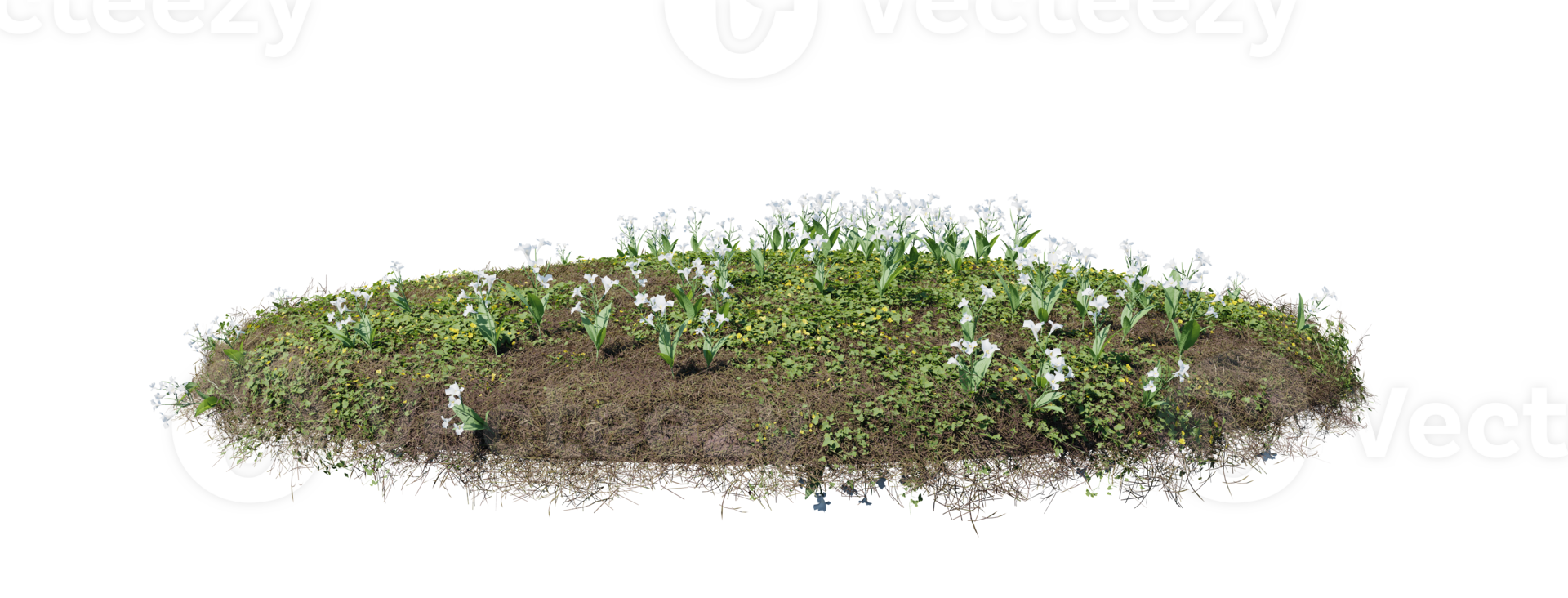 Round surface of Small Plant forest patch covered with flowers, green or dry grass isolated on transparent background. Realistic natural element for design. Bright 3d png