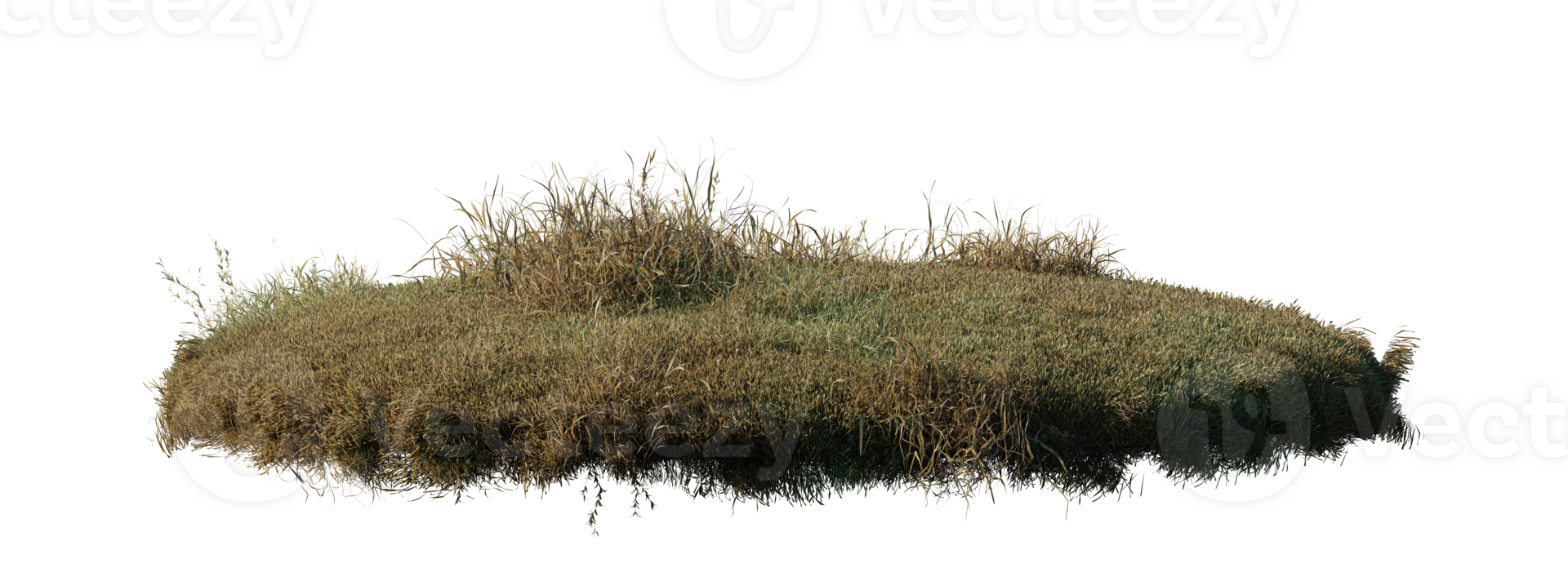 Round surface patch covered with flowers, green or dry grass isolated on white background. Realistic natural element for design. Bright 3d illustration. png