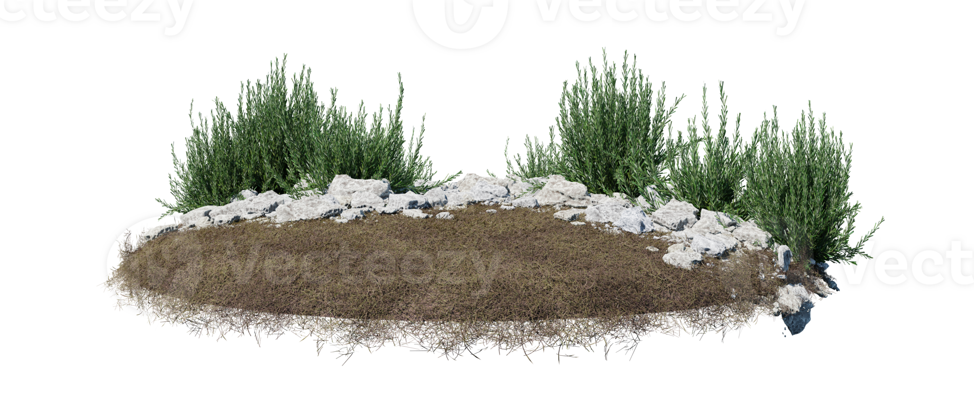 Round surface of Small Plant forest patch covered with flowers, green or dry grass isolated on transparent background. Realistic natural element for design. Bright 3d png