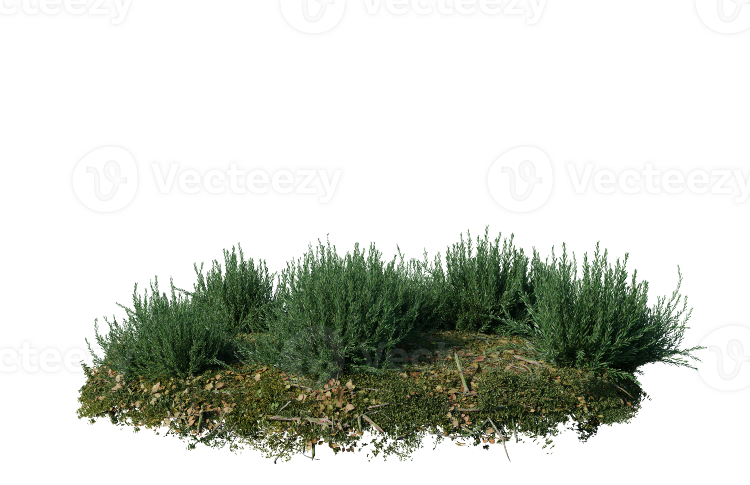 Round surface of Small Plant forest patch covered with flowers, green or dry grass isolated on transparent background. Realistic natural element for design. Bright 3d png