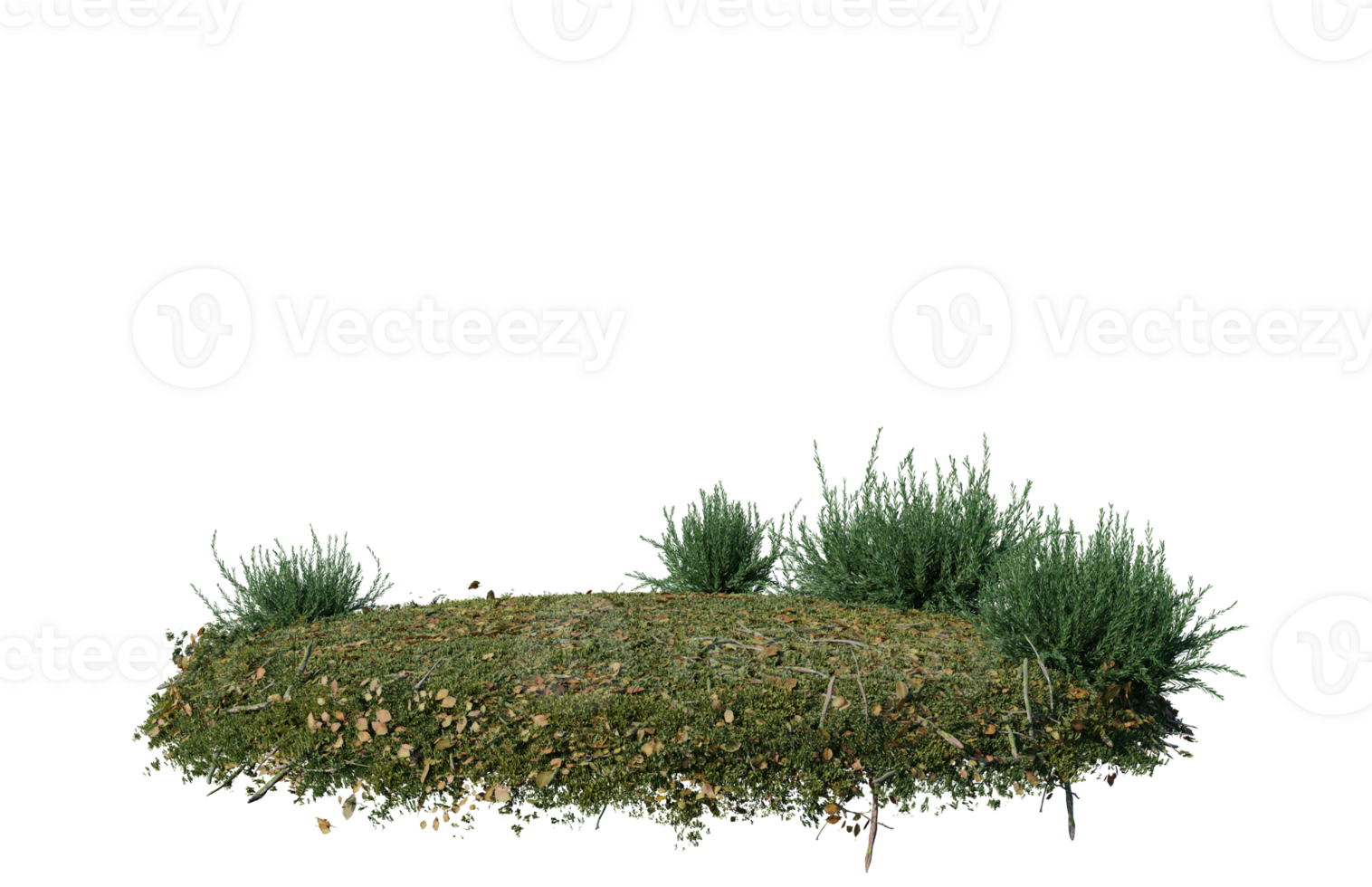 Round surface of Small Plant forest patch covered with flowers, green or dry grass isolated on transparent background. Realistic natural element for design. Bright 3d png