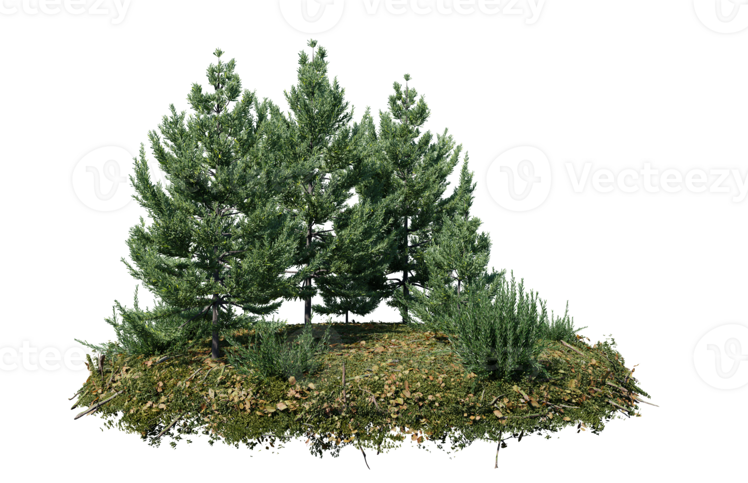 Round surface of Small Plant forest patch covered with flowers, green or dry grass isolated on transparent background. Realistic natural element for design. Bright 3d png