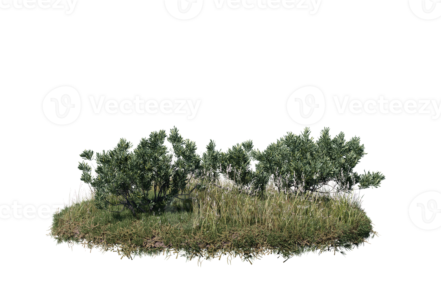 Round surface of Small Plant forest patch covered with flowers, green or dry grass isolated on transparent background. Realistic natural element for design. Bright 3d png