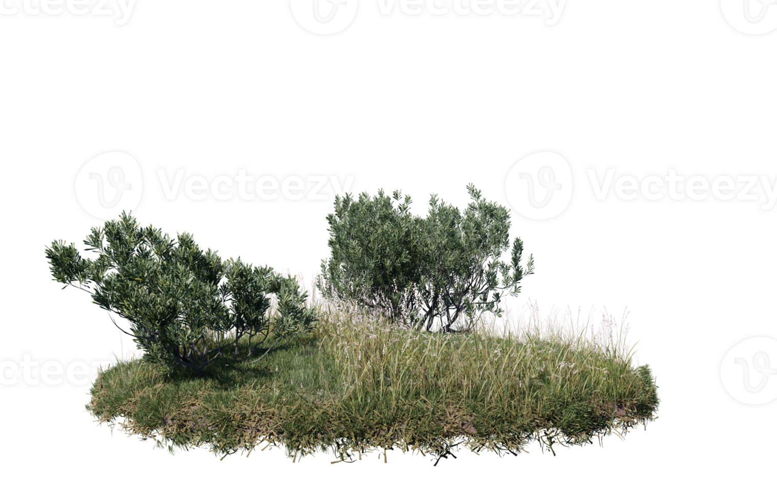 Round surface of Small Plant forest patch covered with flowers, green or dry grass isolated on transparent background. Realistic natural element for design. Bright 3d png