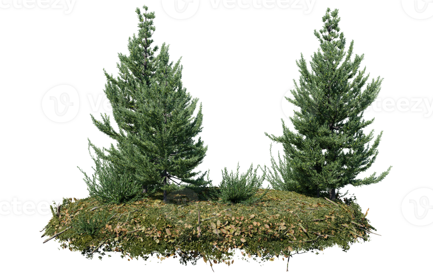 Round surface of Small Plant forest patch covered with flowers, green or dry grass isolated on transparent background. Realistic natural element for design. Bright 3d png