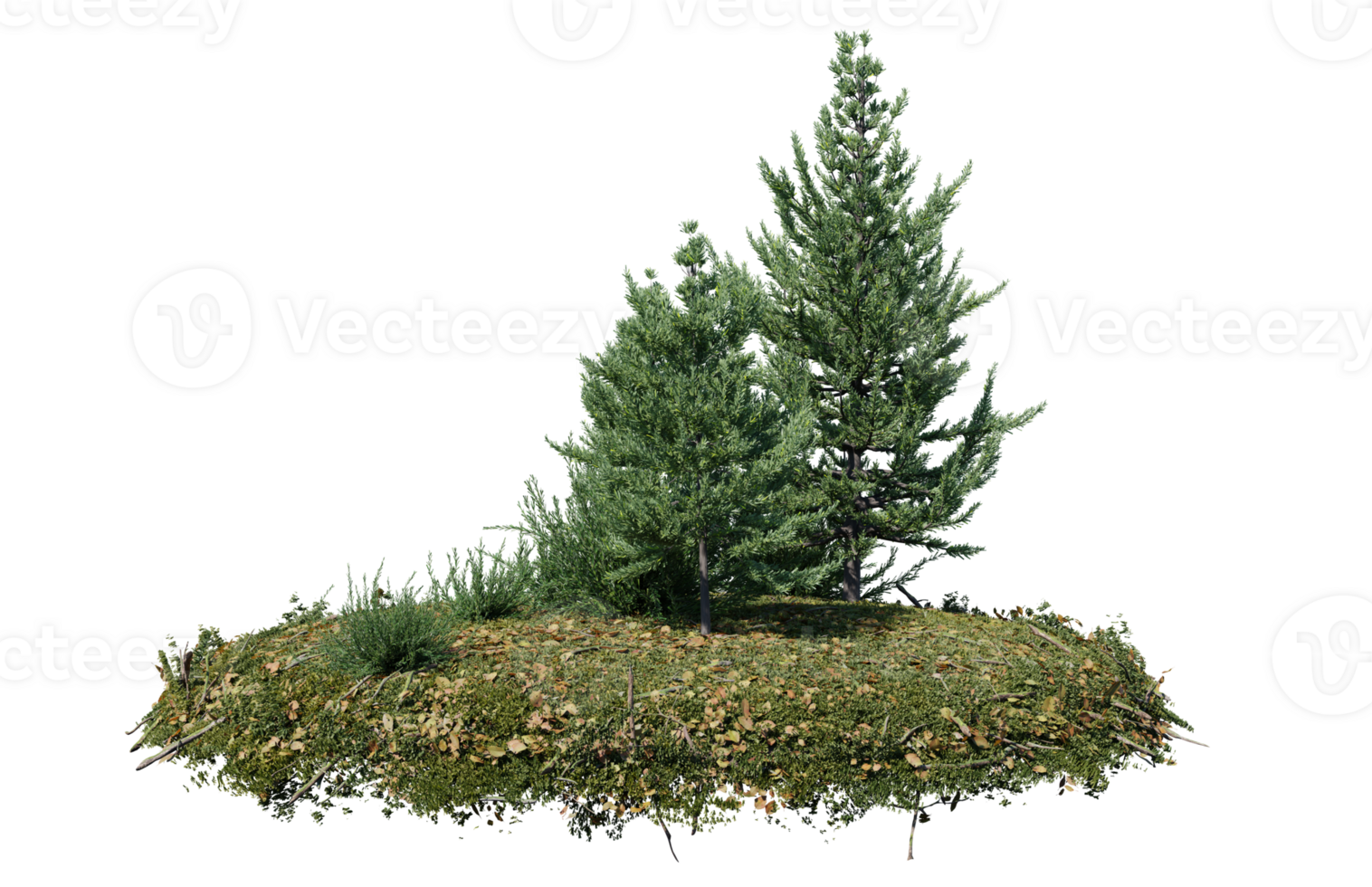 Round surface of Small Plant forest patch covered with flowers, green or dry grass isolated on transparent background. Realistic natural element for design. Bright 3d png