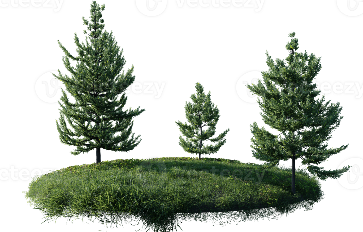 Round surface of Small Pine forest patch covered with flowers, green or dry grass isolated on transparent background. Realistic natural element for design. Bright 3d png