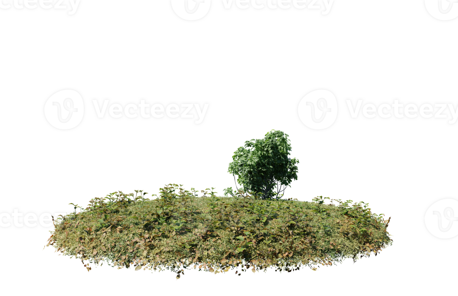 Round surface of Small Plant forest patch covered with flowers, green or dry grass isolated on transparent background. Realistic natural element for design. Bright 3d png