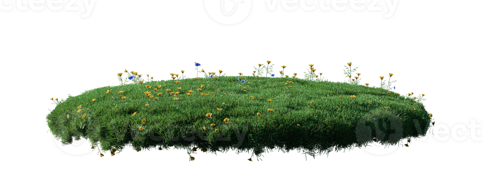 Round surface patch covered with flowers, green or dry grass isolated on white background. Realistic natural element for design. Bright 3d illustration. png