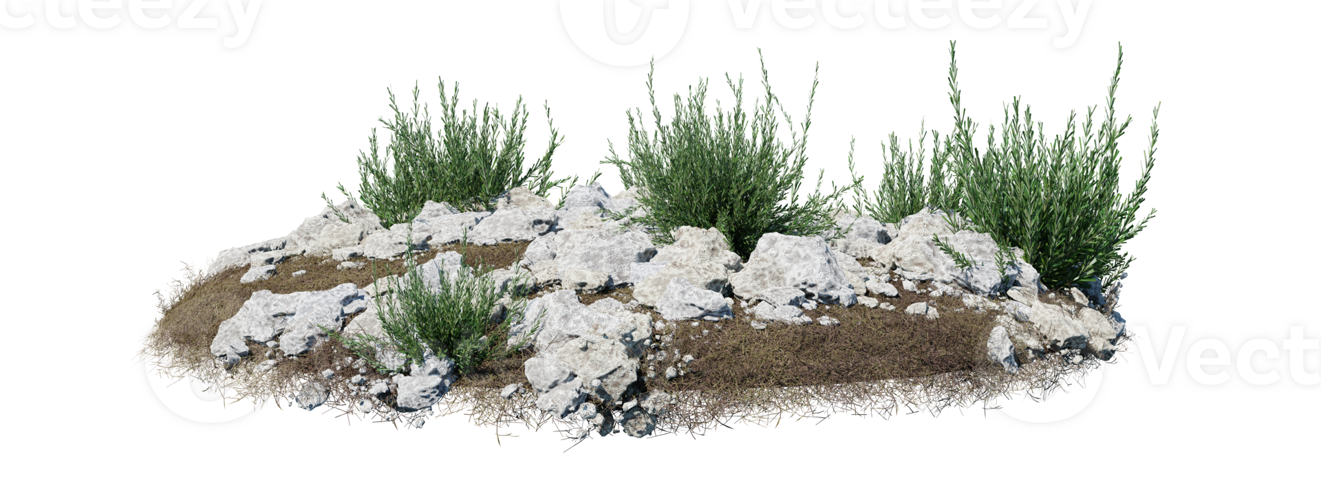 Round surface of Small Plant forest patch covered with flowers, green or dry grass isolated on transparent background. Realistic natural element for design. Bright 3d png