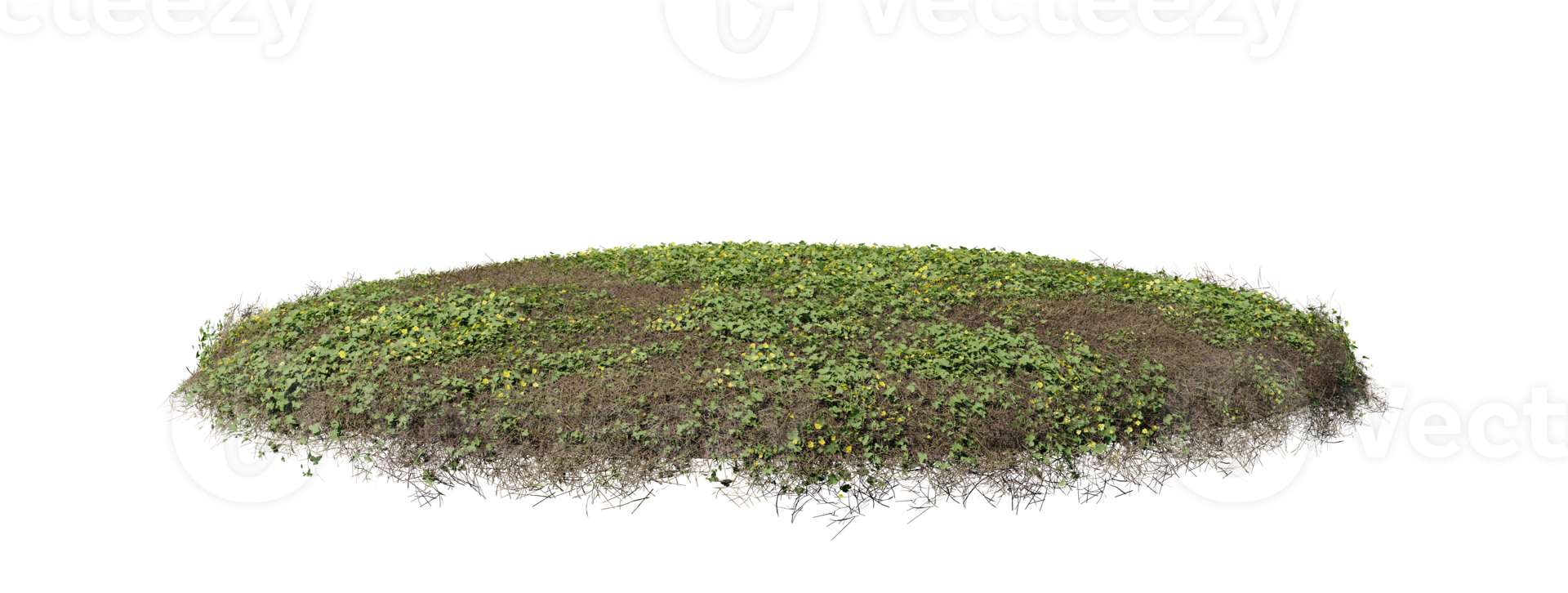 Round surface of Small Plant forest patch covered with flowers, green or dry grass isolated on transparent background. Realistic natural element for design. Bright 3d png