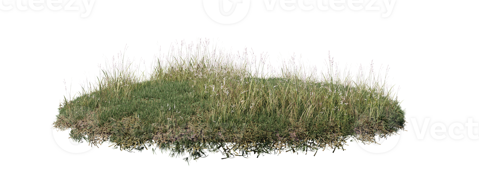Round surface of Small Plant forest patch covered with flowers, green or dry grass isolated on transparent background. Realistic natural element for design. Bright 3d png