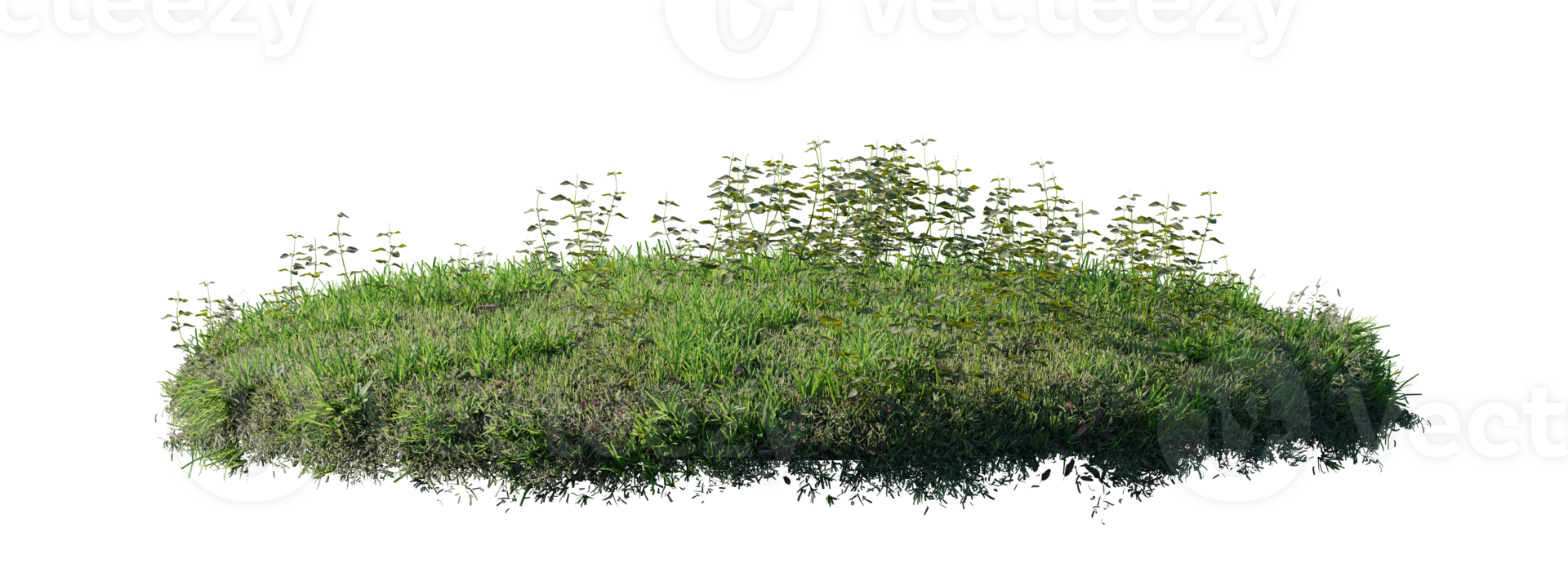 Round surface patch covered with flowers, green or dry grass isolated on white background. Realistic natural element for design. Bright 3d illustration. png