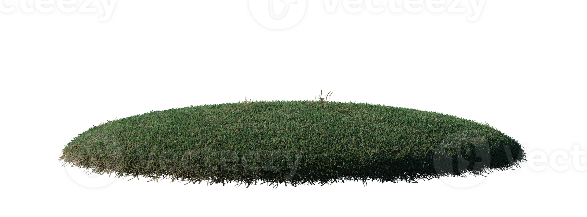 Round surface patch covered with flowers, green or dry grass isolated on white background. Realistic natural element for design. Bright 3d illustration. png