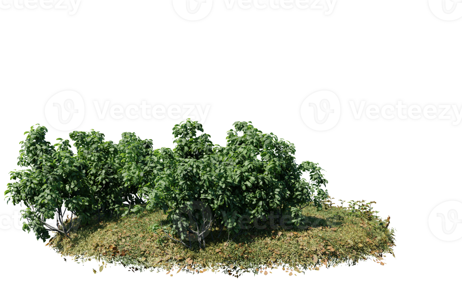 Round surface of Small Plant forest patch covered with flowers, green or dry grass isolated on transparent background. Realistic natural element for design. Bright 3d png