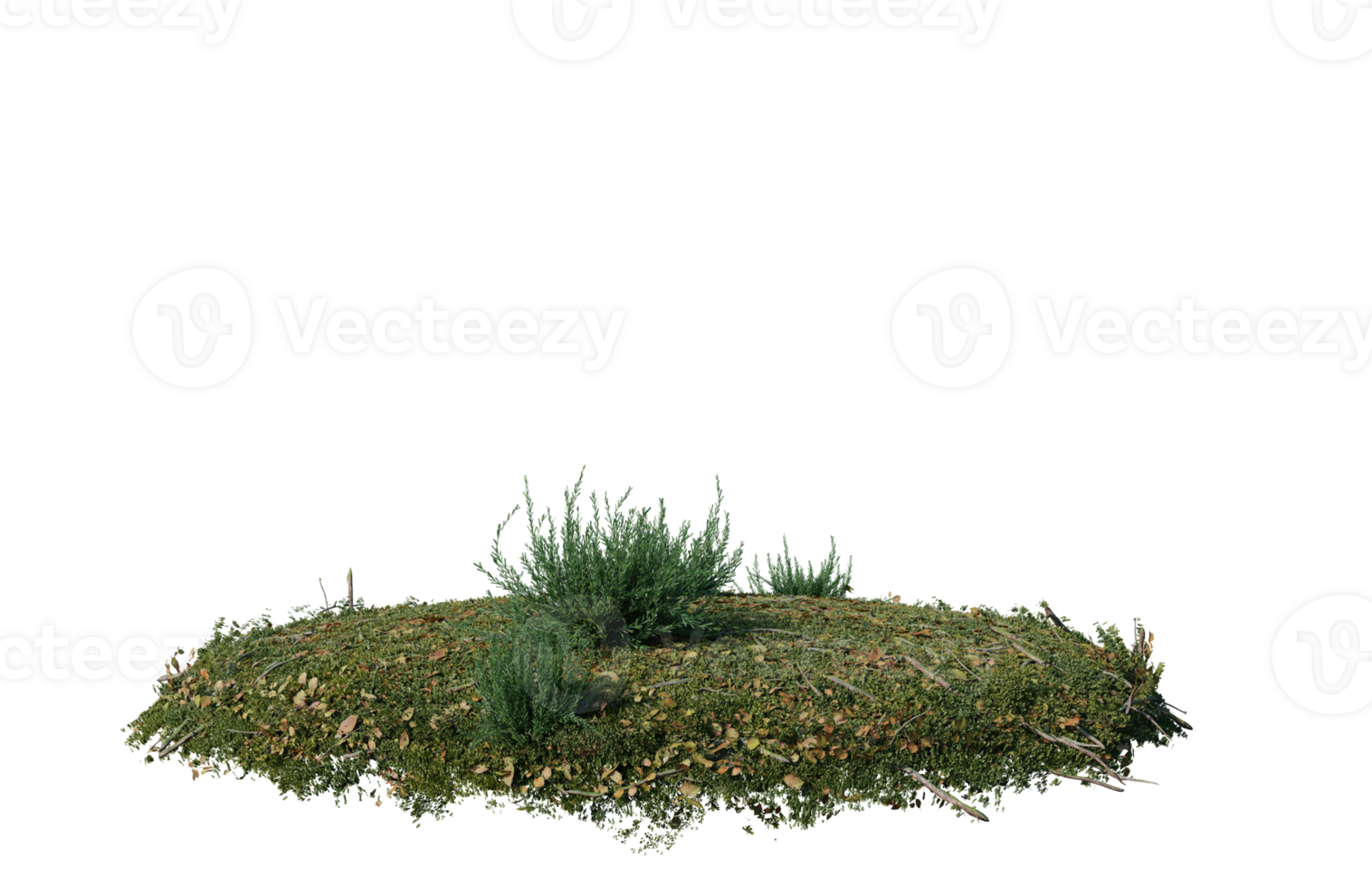 Round surface of Small Plant forest patch covered with flowers, green or dry grass isolated on transparent background. Realistic natural element for design. Bright 3d png