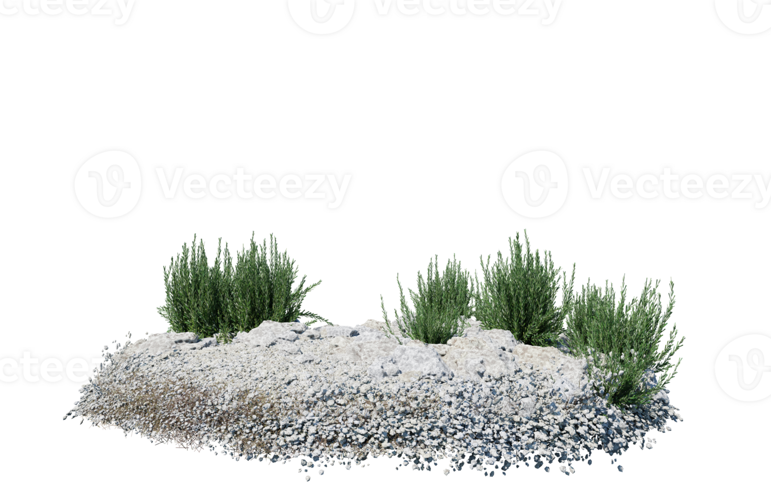 Round surface of Small Plant forest patch covered with flowers, green or dry grass isolated on transparent background. Realistic natural element for design. Bright 3d png
