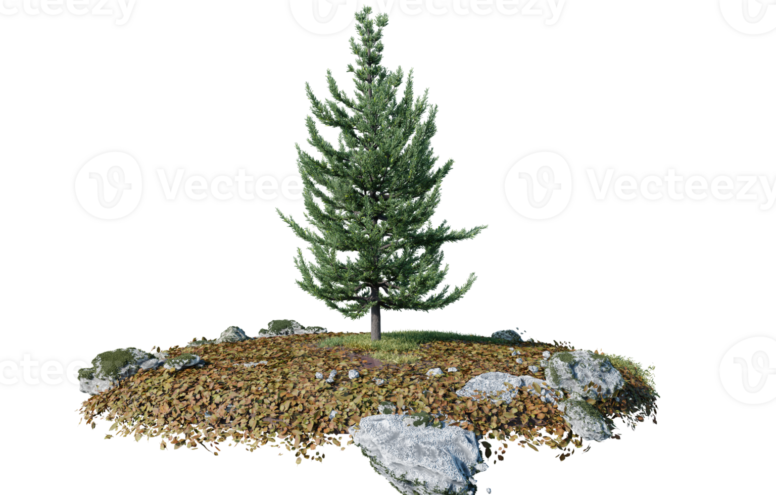 Round surface of Small Plant forest patch covered with flowers, green or dry grass isolated on transparent background. Realistic natural element for design. Bright 3d png
