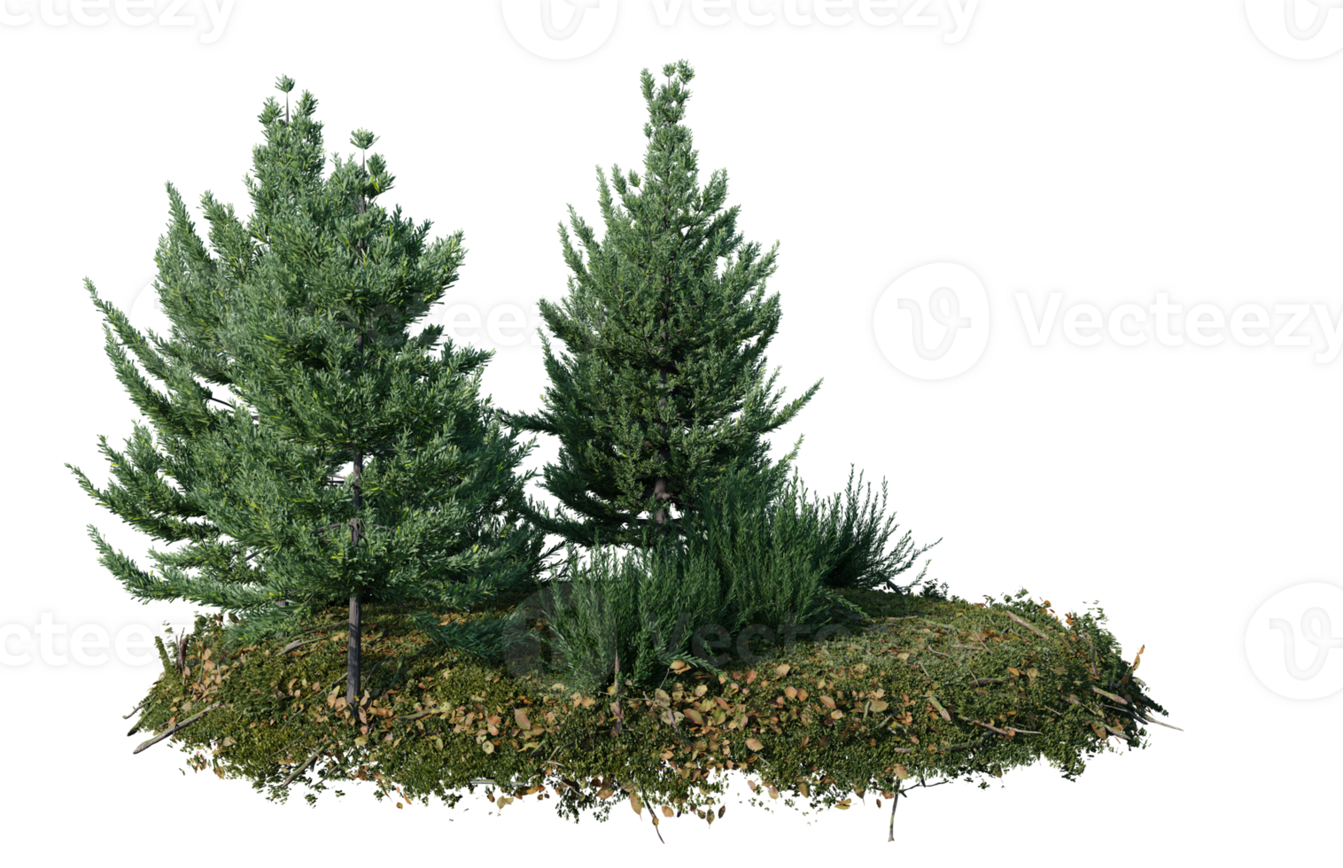 Round surface of Small Plant forest patch covered with flowers, green or dry grass isolated on transparent background. Realistic natural element for design. Bright 3d png