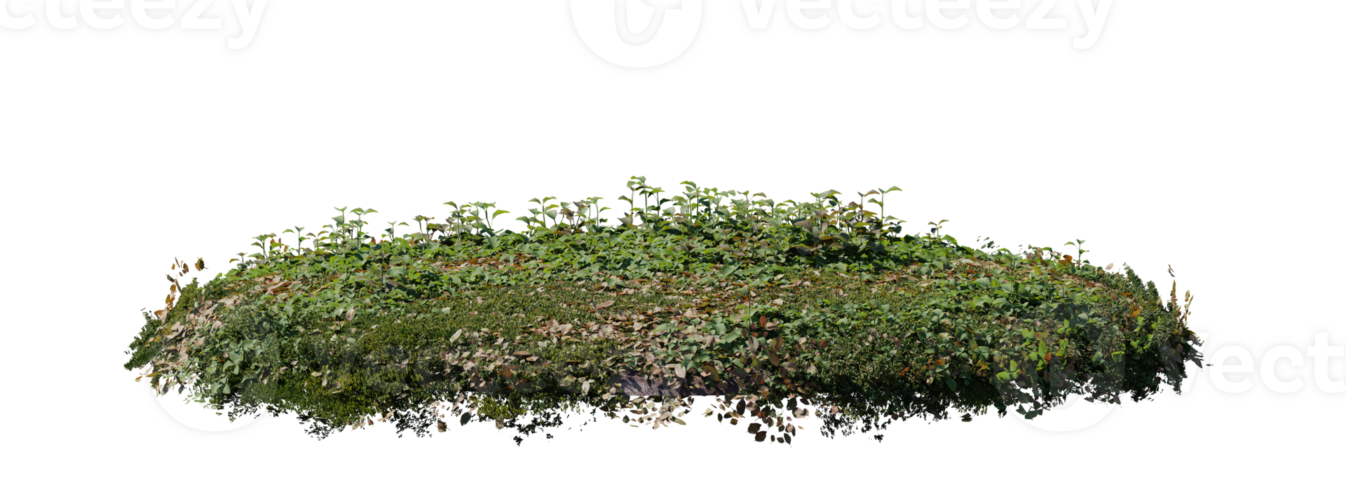 Round surface patch covered with flowers, green or dry grass isolated on white background. Realistic natural element for design. Bright 3d illustration. png
