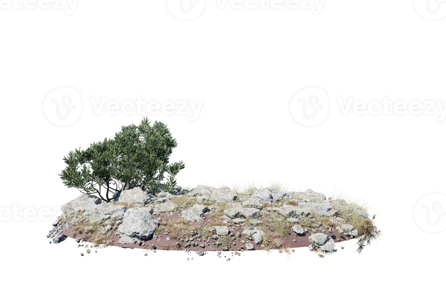 Round surface of Small Plant forest patch covered with flowers, green or dry grass isolated on transparent background. Realistic natural element for design. Bright 3d png