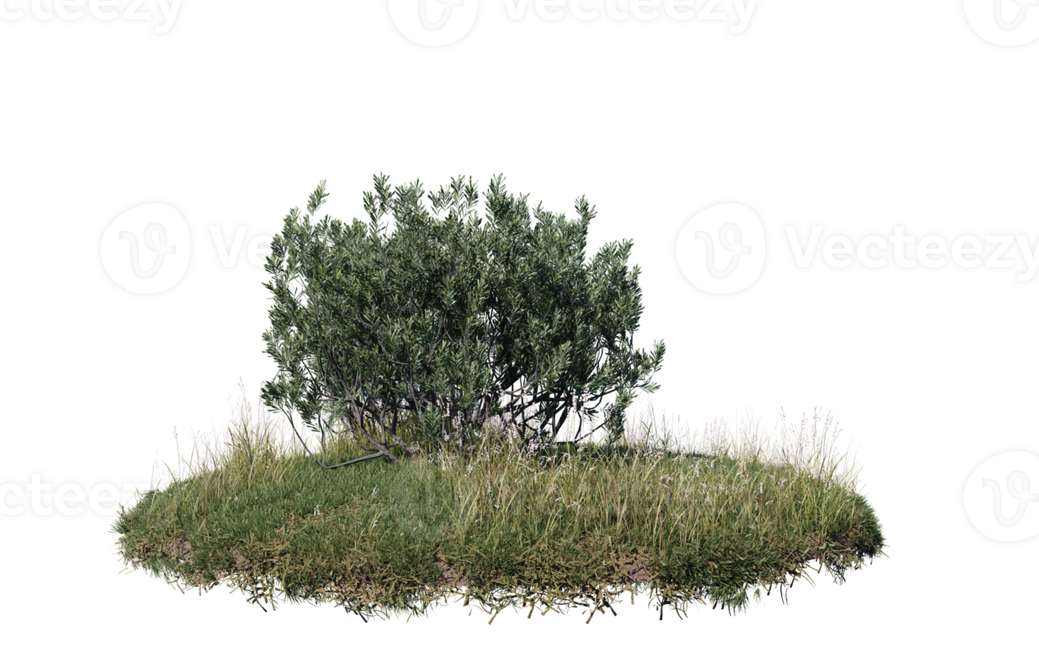 Round surface of Small Plant forest patch covered with flowers, green or dry grass isolated on transparent background. Realistic natural element for design. Bright 3d png