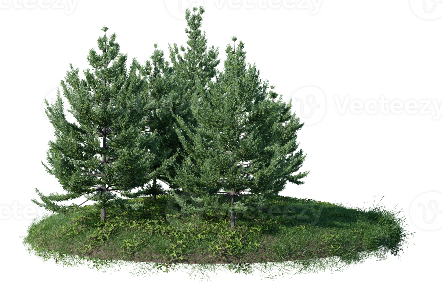 Round surface of Small Plant forest patch covered with flowers, green or dry grass isolated on transparent background. Realistic natural element for design. Bright 3d png