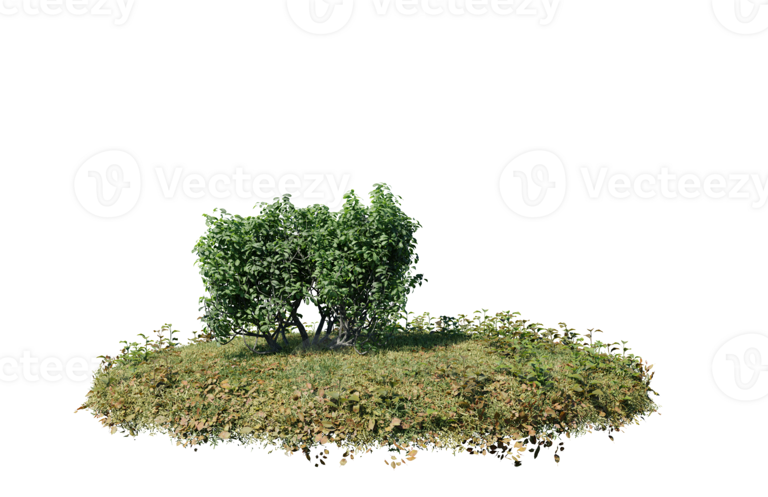 Round surface of Small Plant forest patch covered with flowers, green or dry grass isolated on transparent background. Realistic natural element for design. Bright 3d png