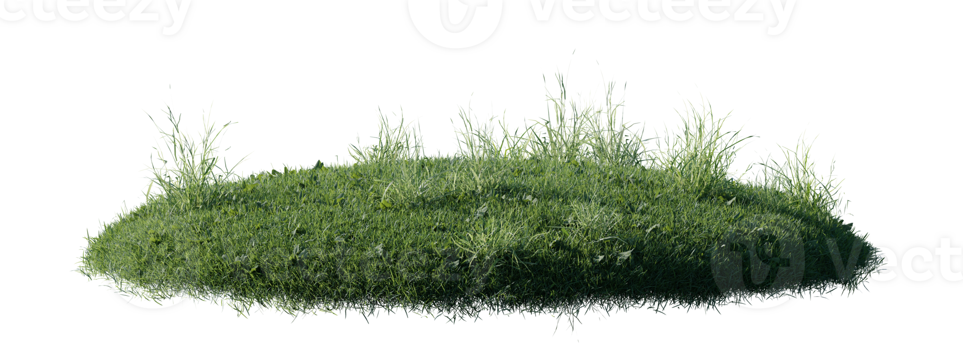 Round surface patch covered with flowers, green or dry grass isolated on white background. Realistic natural element for design. Bright 3d illustration. png