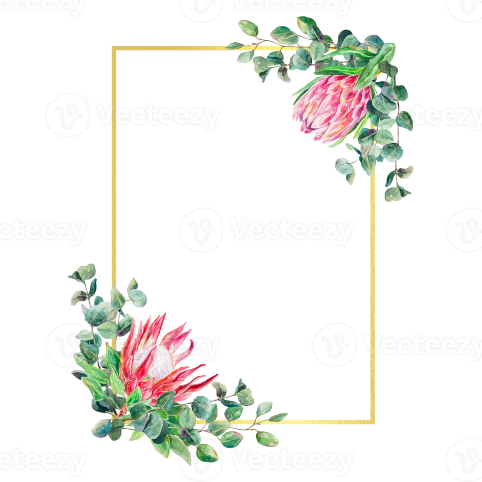 protea aguarela dourado quadro, vertical. mão desenhado Rosa flores com eucalipto galhos. Projeto elemento para cartões, Casamento convites, rótulos, capas, Tag. png