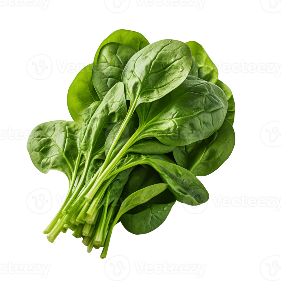 AI generated Bundle of fresh spinach isolated on transparent background png