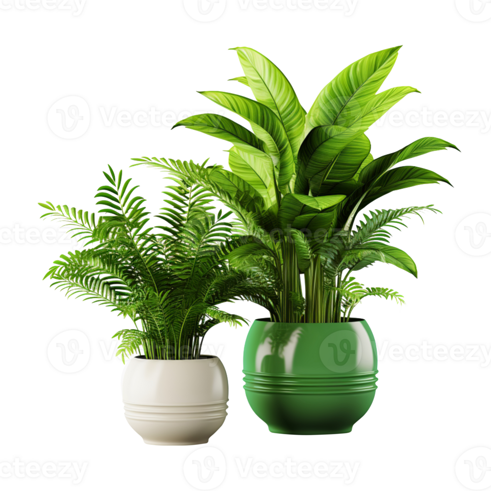 AI generated Houseplants isolated on transparent background png