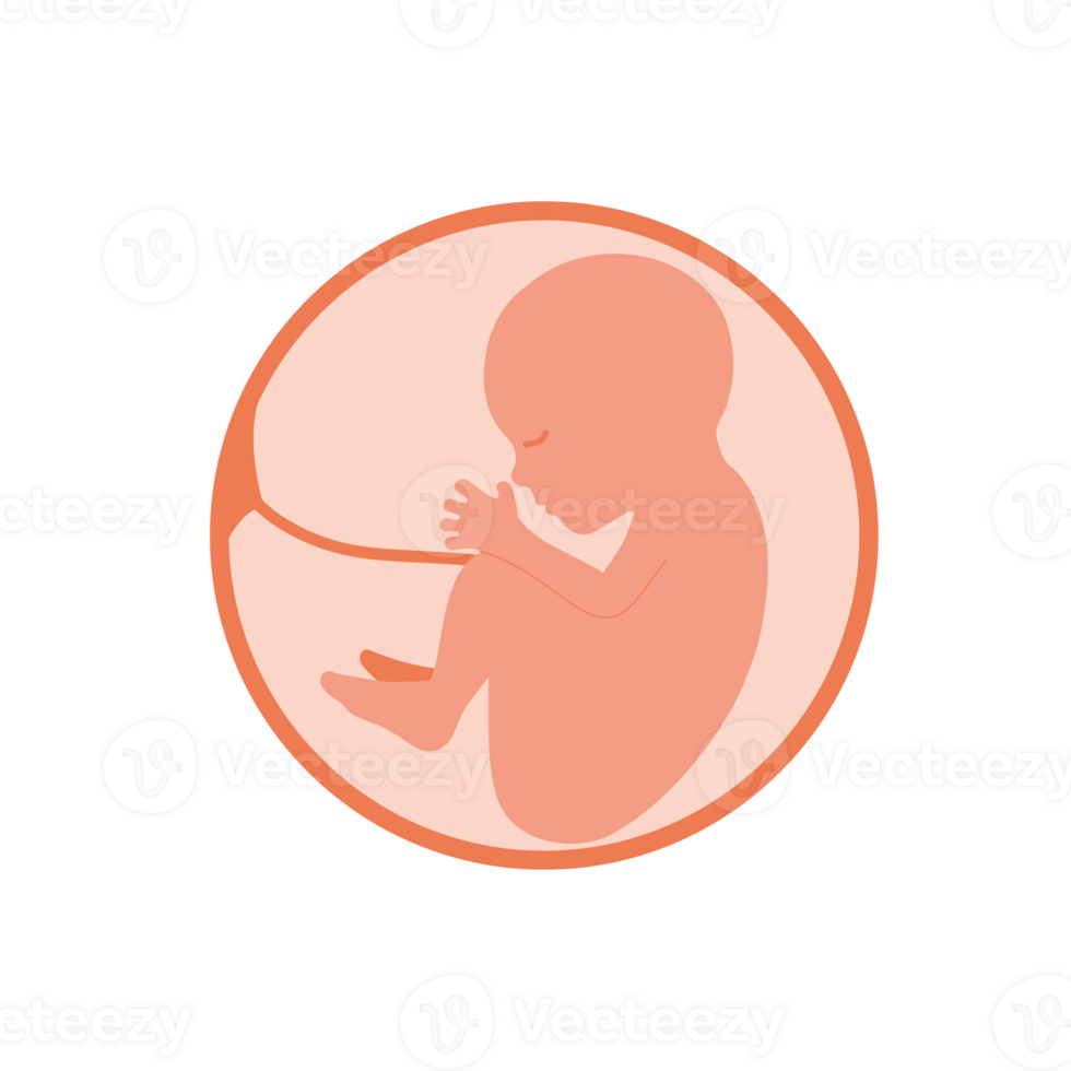 Baby in womb. Pregnancy and health of mother  and baby inside. Fetus symbol. Round logo. embryo and umbilical cord. Sign with text. Medical emblem for pregnancy center. png