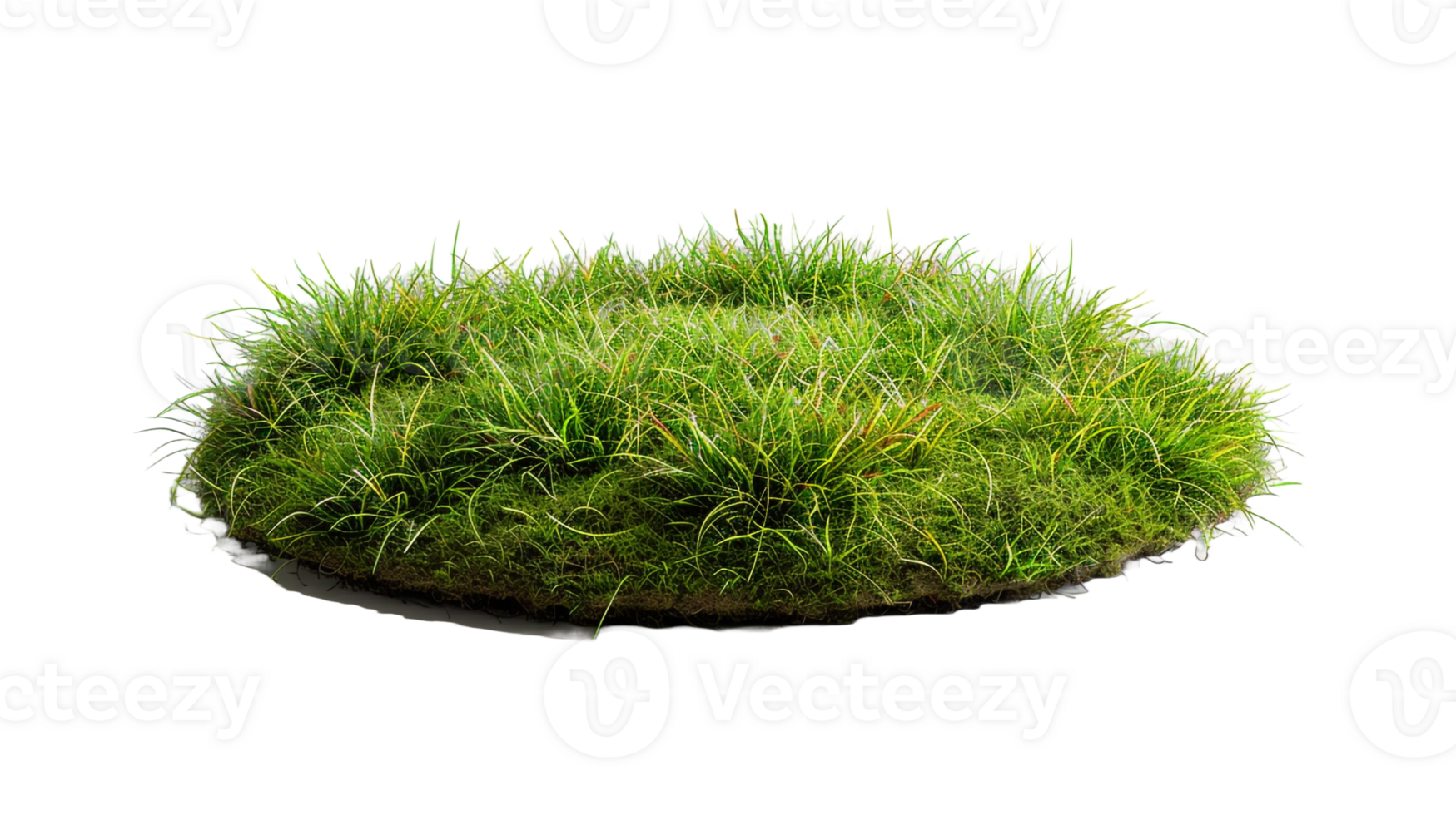 AI generated Circle grass isolated on a transparent background png