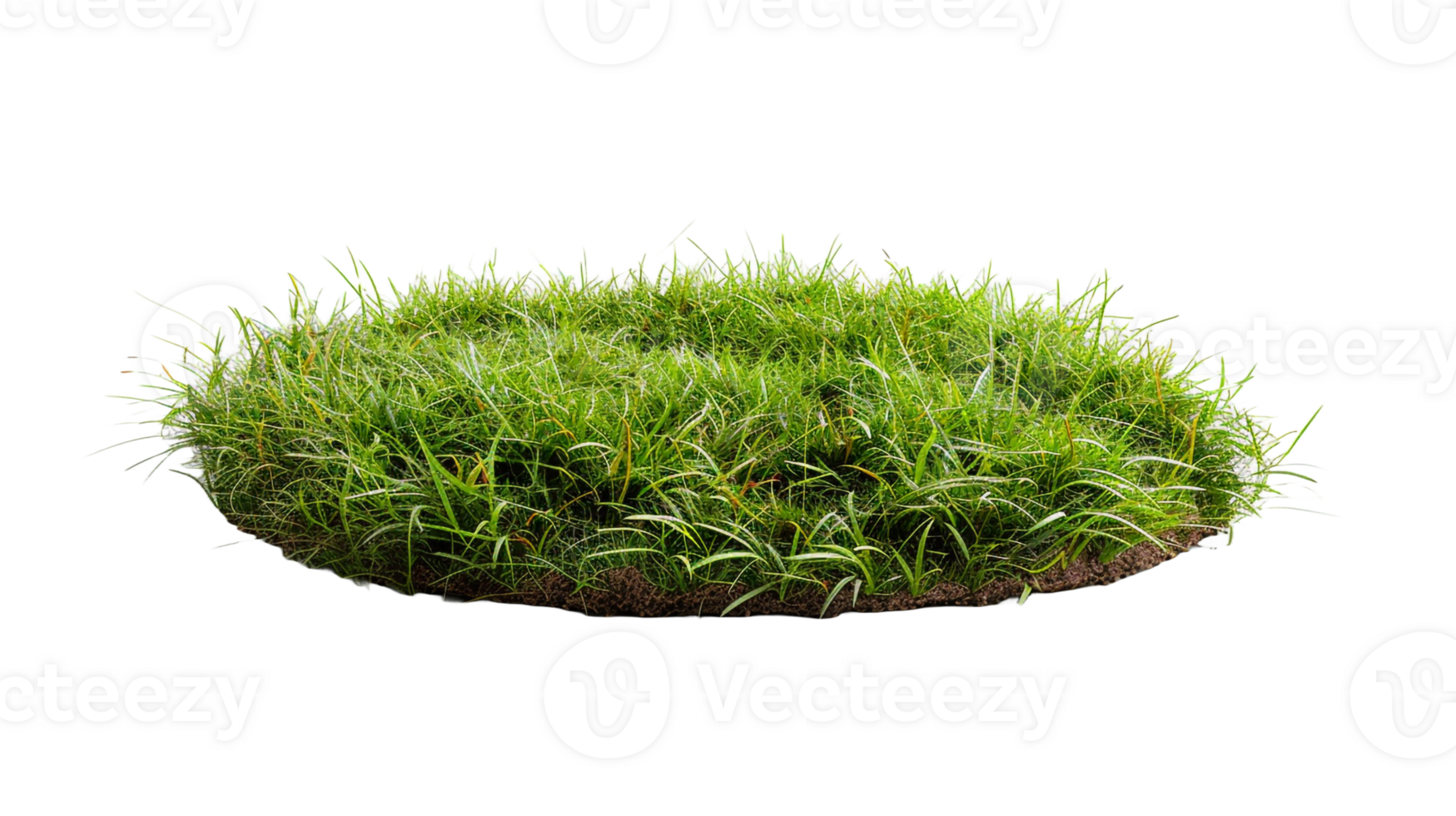 AI generated Circle grass isolated on a transparent background png