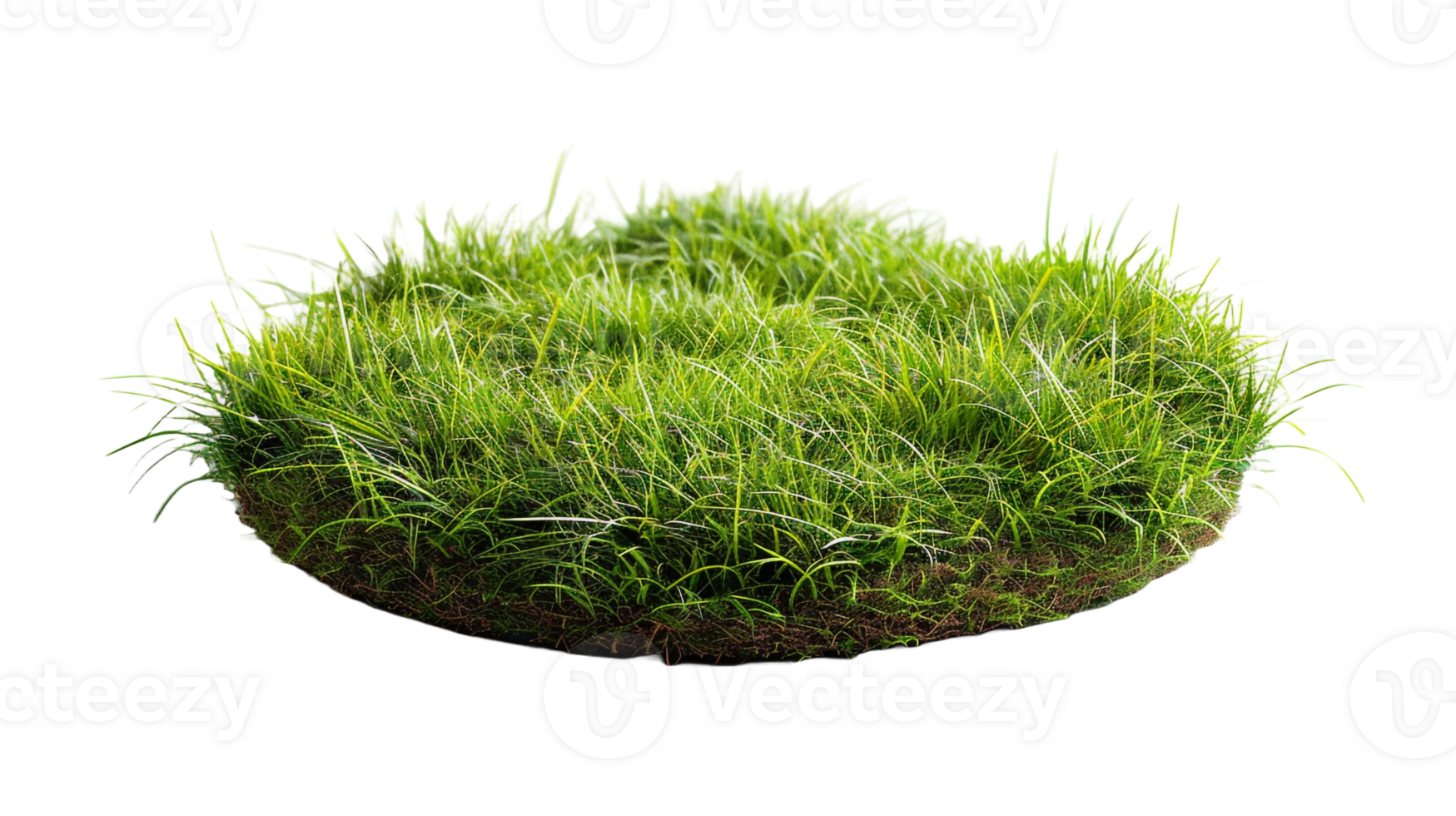 AI generated Circle grass isolated on a transparent background png