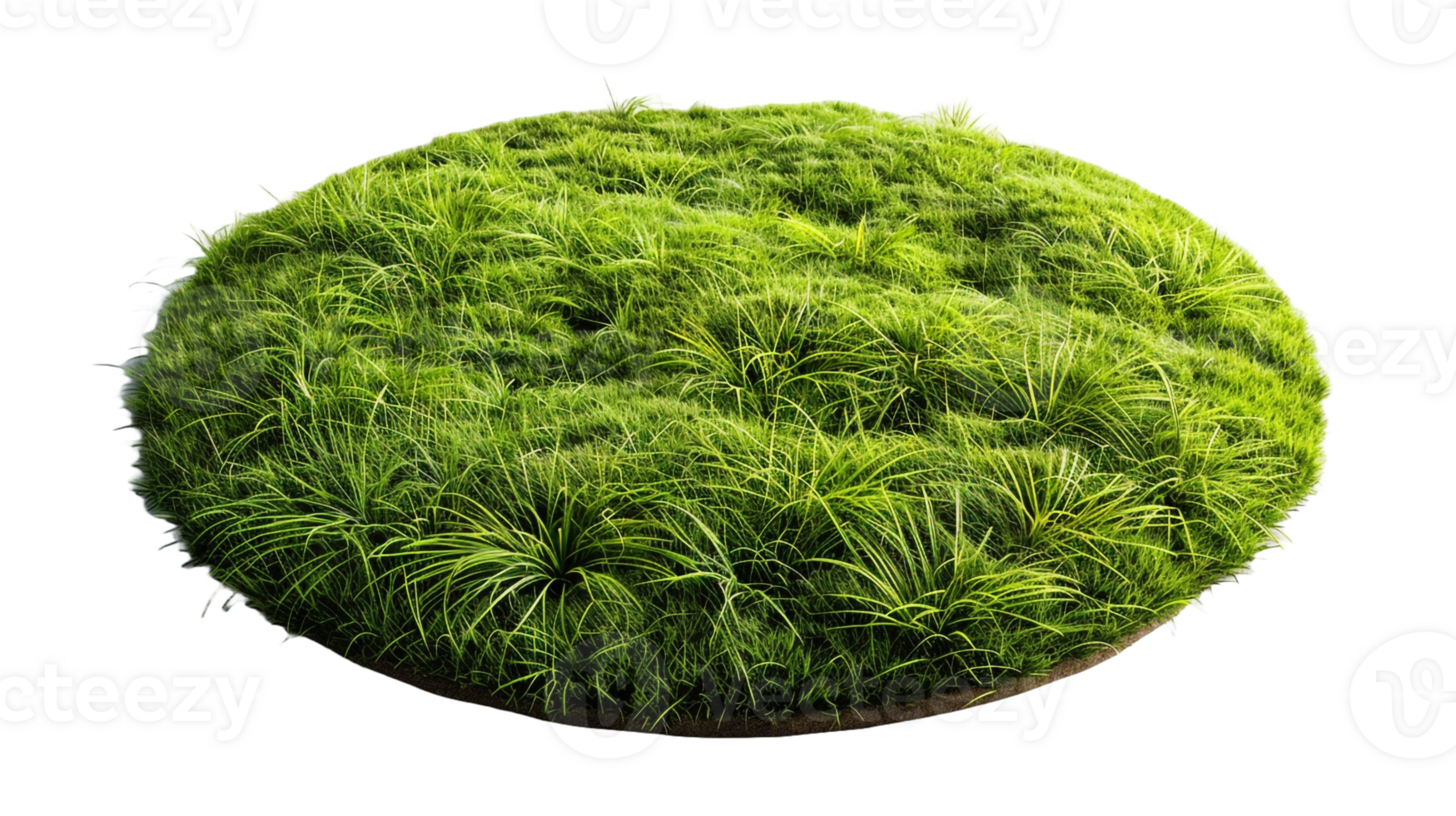AI generated Circle grass isolated on a transparent background png