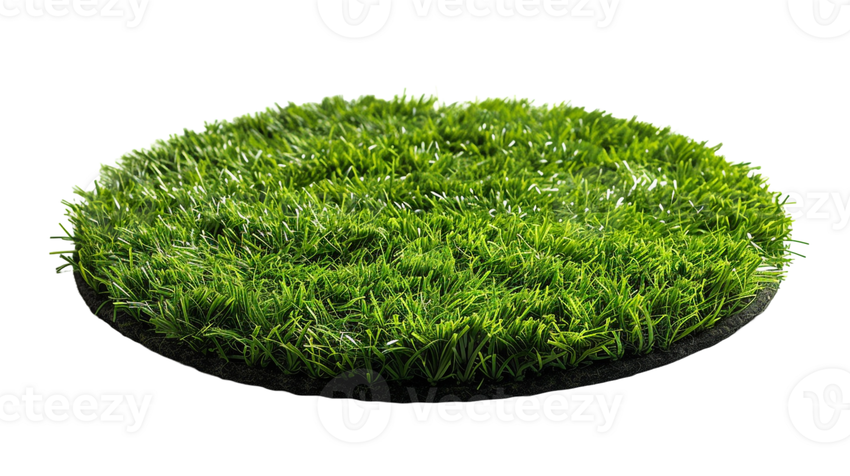 AI generated Circle grass isolated on a transparent background png
